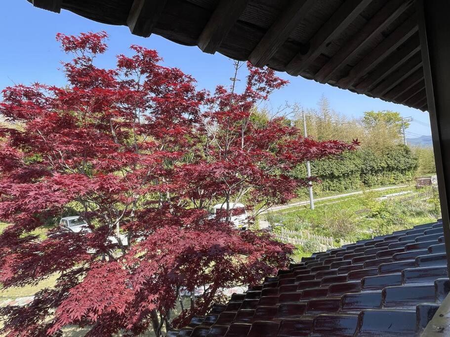 ガーデンハウス道楽亭 Villa Sado Exterior photo